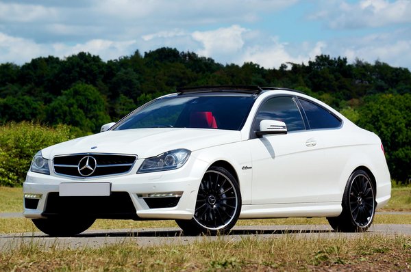 What are the legal requirements for pet adoption in the UK?